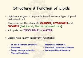 What Are The Functions Of Lipids In Your Body Macromolecules Cell Membrane Structure Membrane Structure