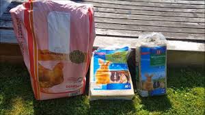 Unsere wachteln werden sehr liebevoll betreut und mit hochwertigem futter ernährt, damit sie besonders gehaltvolle eier liefern können! Wachteln Und Die Kosten Futter Einstreu Eier Youtube