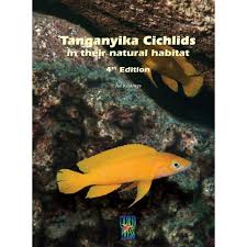 Image result for Tetradenia tanganyikae