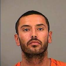 Remains of missing woman identified