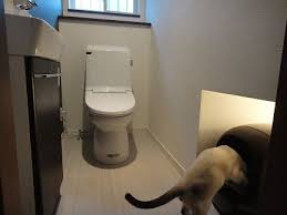 猫トイレの置き場所 猫 トイレ リノベーション 猫 犬のトイレ