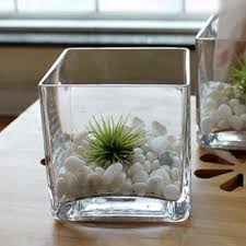 Use these vases to create stunning wedding reception tables and centerpieces for any special event. Square Glass Pot For Water Plants Clear Glass Vase For Flower Arrangement Wedding Favor Table Decoration Centerpiece Buy Square Glass Pot For Water Plants Clear Glass Vase For Flower Arrangement Wedding Favor Table Decoration Centerpiece