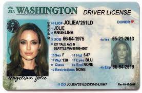 In driver's license pictures, you are usually instructed not to tilt your head to either side. United States Drivers Licenses Valid Documents