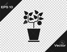 Pngtree provides you with 1,911 free transparent potted plant png, vector, clipart images and psd files. Grey Plant In Pot Icon Isolated On Transparent Background Plant Growing In A Pot Potted Plant Sign Vector Illustration Royalty Free Cliparts Vectors And Stock Illustration Image 138326722
