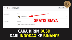 Cara Kirim Busd Dari Indodax Ke Binance Gratis Biaya Transfer Evotekno