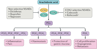 What anti inflammatory can i take with xarelto. Cardiovascular Effects And Safety Of Non Aspirin Nsaids Nature Reviews Cardiology