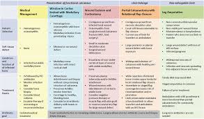 Image result for Osteomyelitis Management