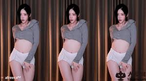 韩国AF主播BJ黑珍2022年10月直播热舞合集【32V11.2G】_大幕网