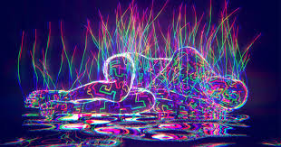 What are Hypnagogic Hallucinations? – Setu Nutrition