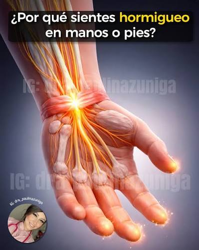 🤔 ¿Por qué sientes hormigueo en manos o pies? Ese “piquetito”,  adormecimiento o sensación de corriente no siempre significa algo grave…  pero tampoco hay que ignorarlo, sobre todo si se repite mucho