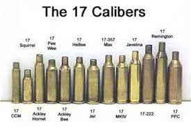 Buyers Guide Firearms Rifles Low 17 To Medium Caliber
