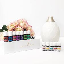 One of my favorite, most basic combinations is 4 drops cedarwood and 4 drops lavender. Essential Oil Premium Starter Kit Diffuser Blends A Fit Mom S Life