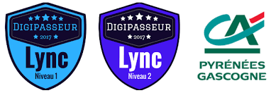 776983546 est associé à l'entreprise. Les Digipasseurs Du Credit Agricole Pyrenees Gascogne Culture Numerique Et Actualites Digitales Par L Equipe Tanu