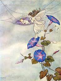 Spiderweb Cradle In Morning Glories Ida Rentoul Outhwaite Baby Fairy Fairytale Illustration Vintage Fairies
