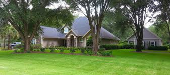Maybe you would like to learn more about one of these? Lawn Maintenance In Gainesville Fl
