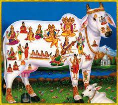 Time setting option is available. Kamadhenu Gomatha Hindu Rituals Cow Painting Hindu Deities