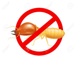 Our vision is a dedication to superb customer service. Termites Info Termite Logo