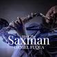 Thursday Live Music with Daniel “Saxman” Fuqua... event in Daytona Beach, FL