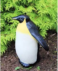 We did not find results for: Amazon Com Flameer 1pc Vivid Plastic Penguin Lawn Ornament Yard Decoration 25x 22x 10cm Garden Outdoor