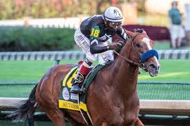 He was sold at auction twice, once for $1,000 at the 2019 ocala breeders' sales co. Kentucky Derby Winner Authentic Takes Over Ntra Poll Bloodhorse