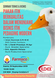 Bahan pakan alternatif adalah bahan pakan lokal yang belum banyak digunakan. Pakan Itik Berkualitas Dalam Menunjang Bisnis Itik Pedaging Modern Ildex Indonesia