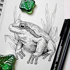 I Create Intricate Drawings Of Animals Embedded With Their Natural Habitats Animal Drawings Frog Drawing Ink Illustrations