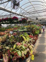Redcliff to tigiwon rd/fr 707 (gilman gorge). American Plant 5258 River Rd Bethesda Md Florists Mapquest