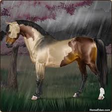 Horse age would be more accurate meaning there would no longer be that weird gap when horses show the wrong day that they next age. Horse Eden Eventing Horses Bryer Horses Horse Games