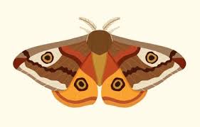 inherit « 张鑫旭-鑫空间-鑫生活