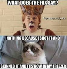 What Does The Fox Say Nothing Because I Shot It Skinned It And Now I Ts In My Freezer Funny Grumpy Cat Memes Grumpy Cat Quotes Grumpy Cat Humor