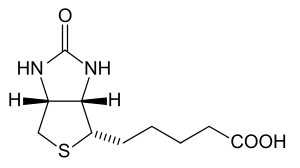 Wann und wie hilft biotin bei haarausfall? Biotin Wikipedia