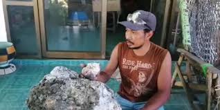 Agar lebih jelas, pada artikel ini tidak hanya dijelaskan jenisnya saja, tetapi saya juga akan menambahkan gambar agar anda mudah paham dan langsung. Mengenal Apa Itu Ambergris Dan 5 Fakta Tentang Muntahan Paus Sperma Halaman All Kompas Com