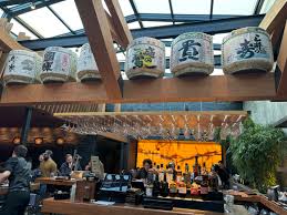 Image result for Denekia