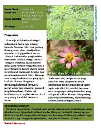 Dalam hal ini, menjadi tanggungjawab kepada ahli. My World Dunia Saya Ulam Raja