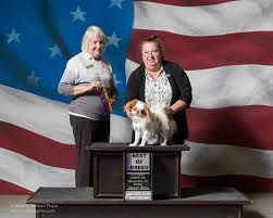 Japanese chin puppies and dogs. News Japanese Chin Dogs Puppies
