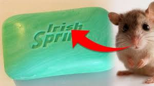With a motion detected sprinkler you will comfortable knowing you're property is protected. This Surprising Hack Will Keep Mice Away For Good Keep Mice Away Home Remedies For Mice Getting Rid Of Mice