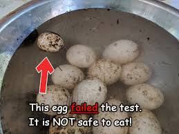 floating egg test: does it really work