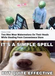 43 Funny Memes And Jokes To Make Your Smile In 2020 Funny Memes Stupid Funny Memes Stupid Memes