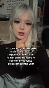 3d Art in High School Projects