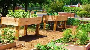 Create a square using three 16 cinder blocks per side (open sides facing up); How To Build Off The Ground Garden Beds Youtube