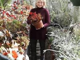 Maybe you would like to learn more about one of these? A Holiday Themed Season 2 Of Martha Knows Best Is Coming Soon Martha Knows Best Hgtv