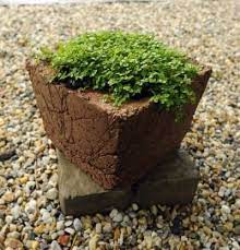 A Different Hypertufa Recipe With Faster Curing Time Feeling Hypertufa The Sun Chronicle Online Features Concrete Garden Hypertufa Garden Containers