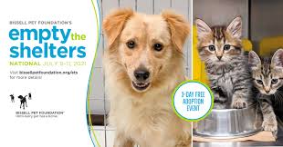 7507 deering avenue los angeles, california, 91303. 3bmo5sc L2gaim