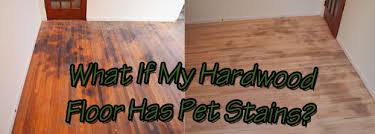 pet sns out of hardwood floors