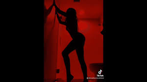 シルエットチャレンジ..受け入れ られる