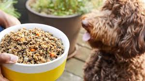 We offer elite and luxurious puppy relocation services for renowned breeders and prospective owners. Petplate Is A Healthy And Affordable Meal Delivery Service For Dogs Littlethings Com