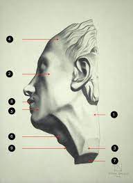 Learning to Draw the Traditional Way