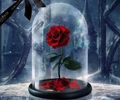 Check spelling or type a new query. Fakta Unik Dan Menarik Bunga Mawar Sebagai Simbol Kebahagiaan Dan Cinta10