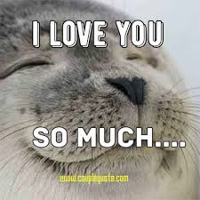 Feb 21, 2013 · the latest tweets from pewdiepie (@pewdiepie). Romantic Love Memes For Girlfriend Love Messages
