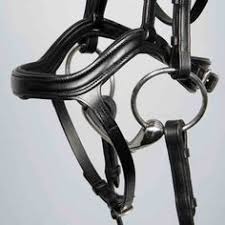 Bridon Anatomique Harry S Horse Pour Cheval Cheval Equipement Cheval Anatomie